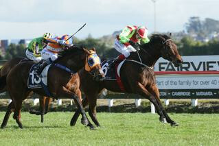 Melody Belle defeated a strong weight-for-age field in the Group 2 Lisa Chittick Foxbridge Plate. Photo: Trish Dunell